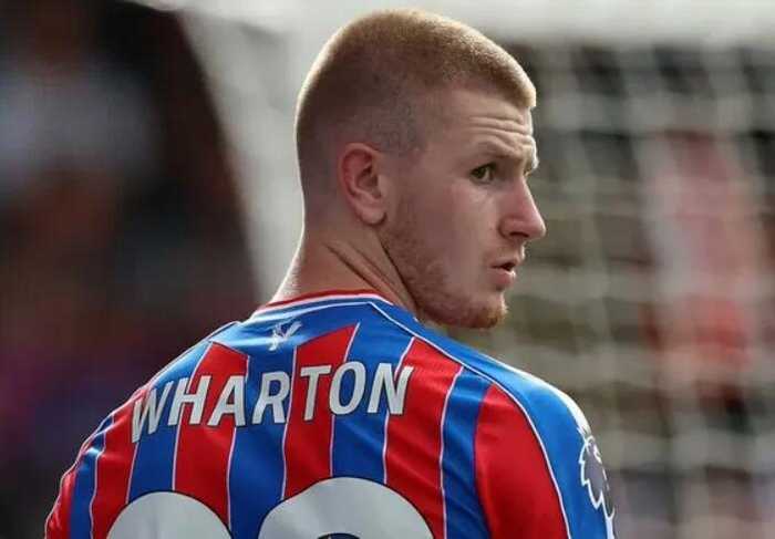 曼联切尔西竞逐水晶宫中场沃顿